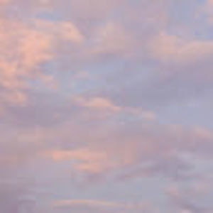 Meet your Posher, Rhea